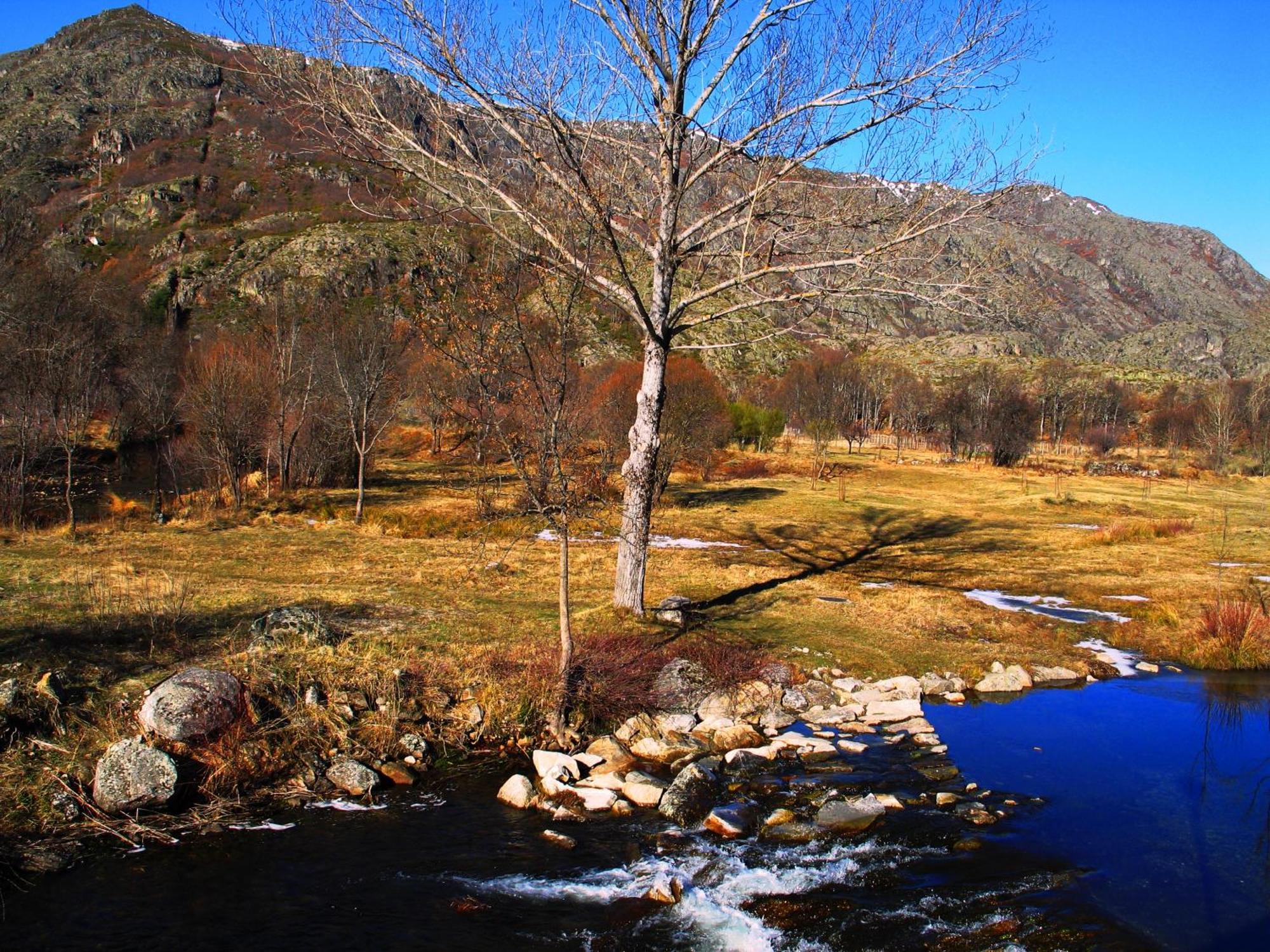 Hostal Martin - Sanabria Ribadelago Luaran gambar
